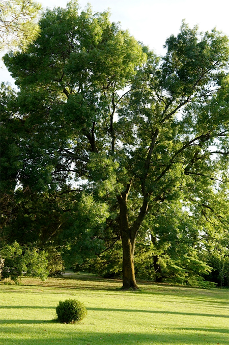 Les jardins de Payan